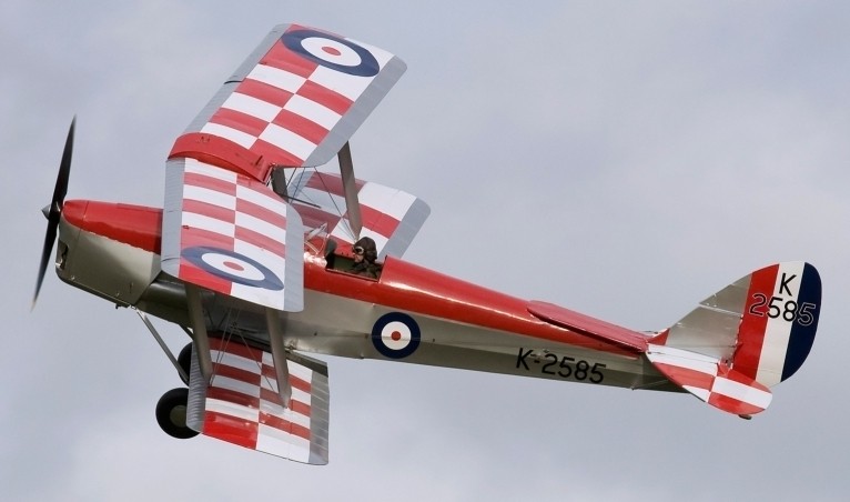 Tiger Moth